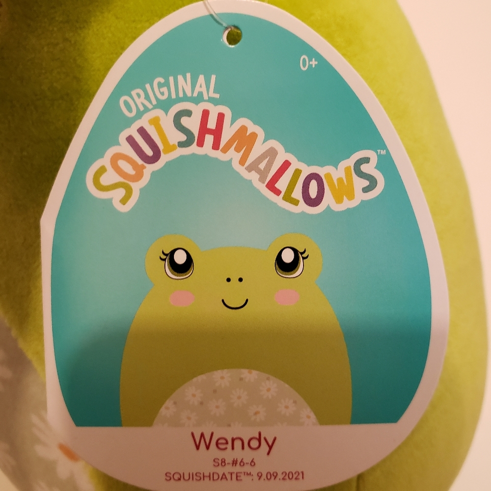 Wendy The Frog Squishmallow 8" Easter Plush NWT Stuffed Animal Daisies Green - Picture 2 of 4